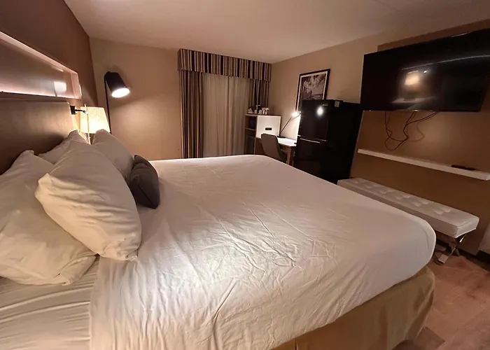 Conference Center Hotel 3*